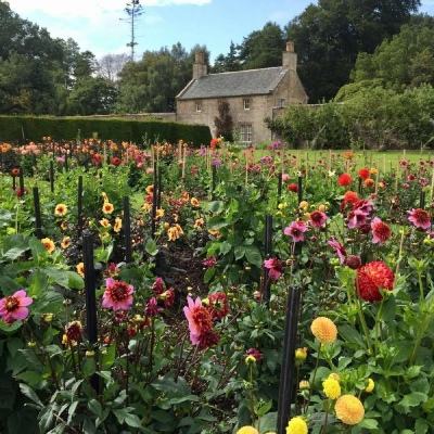 开云(中国)Kaiyun