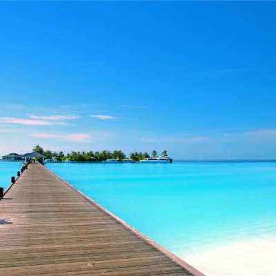 开云(中国)Kaiyun