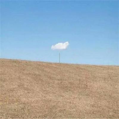 AG大厅网址手机app下载截图